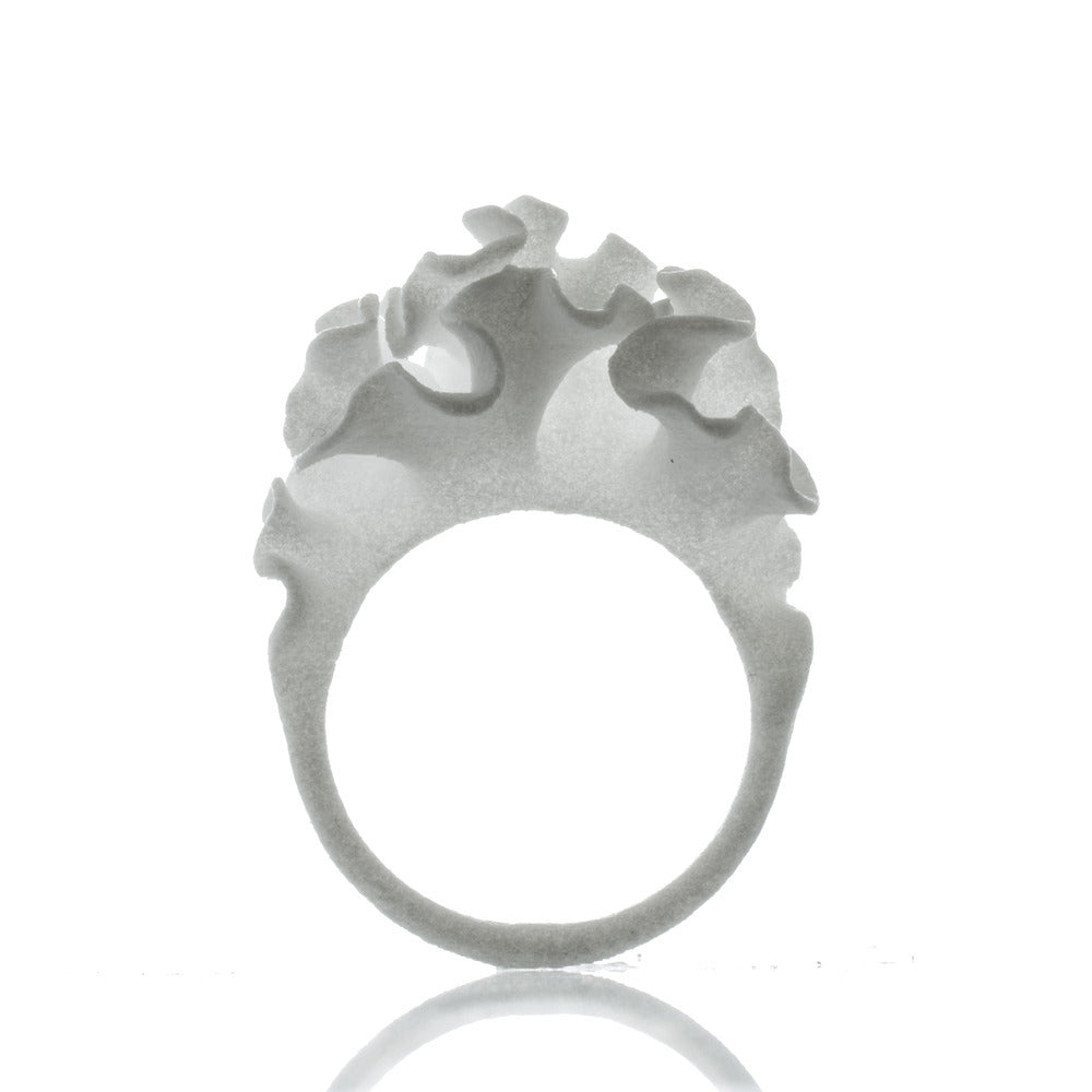 Cnidaria Lattice · Ring