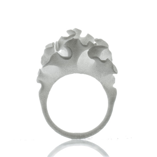 Cnidaria Lattice · Ring